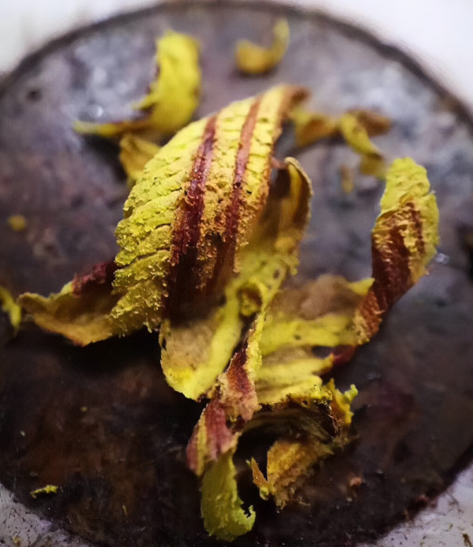 海南降真香黄药膜3